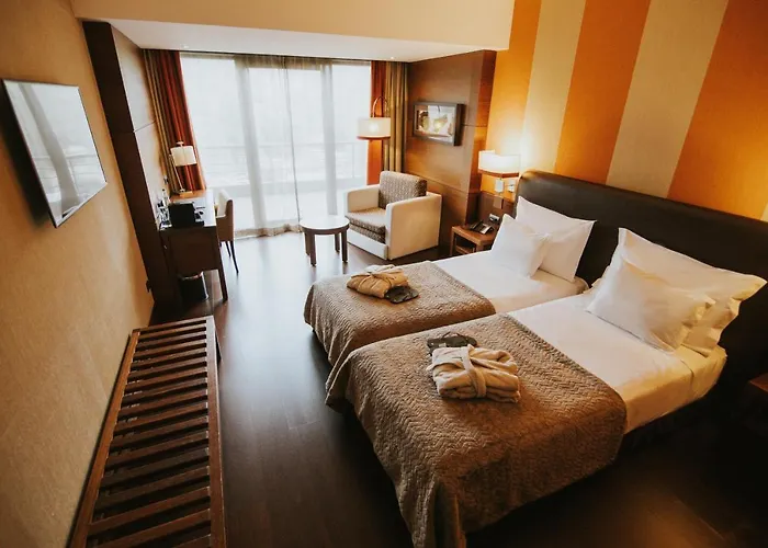 H2オテル コングレス＆メディカル スパ