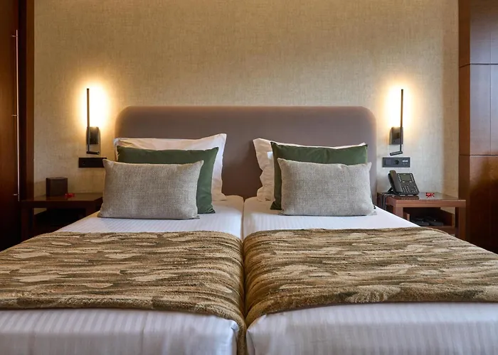 H2オテル コングレス＆メディカル スパ 4* ウニャイス・ダ・セーラ