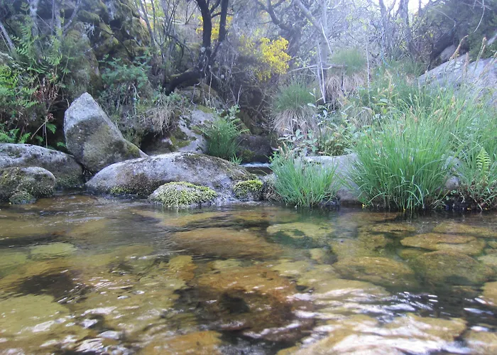 Hotel H2otel Congress & Medical