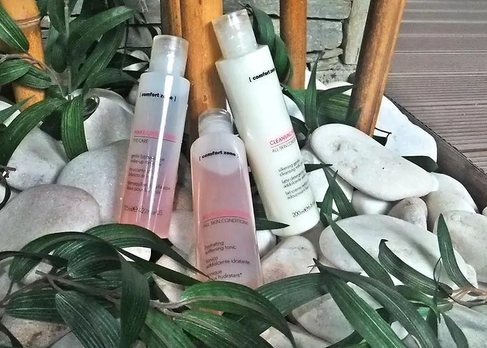 H2オテル コングレス＆メディカル スパ 4*